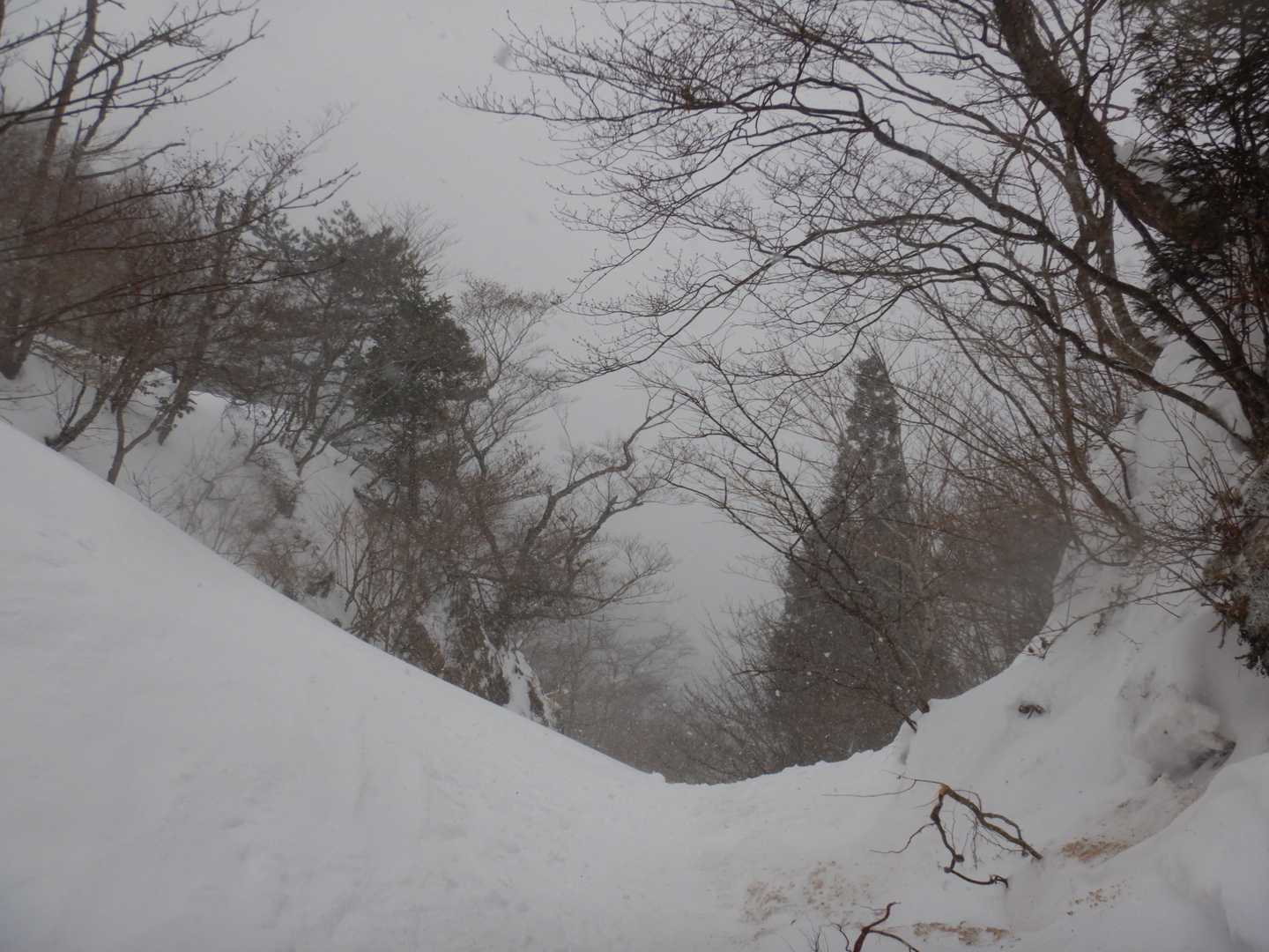 金糞峠-堂満岳 往復コースの写真