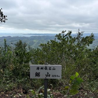 写真じゃ伝わらないけどかなりの強風だった！！