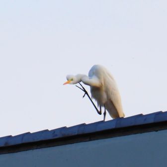                                    顔が😅
                            ちょっと怖い😅
