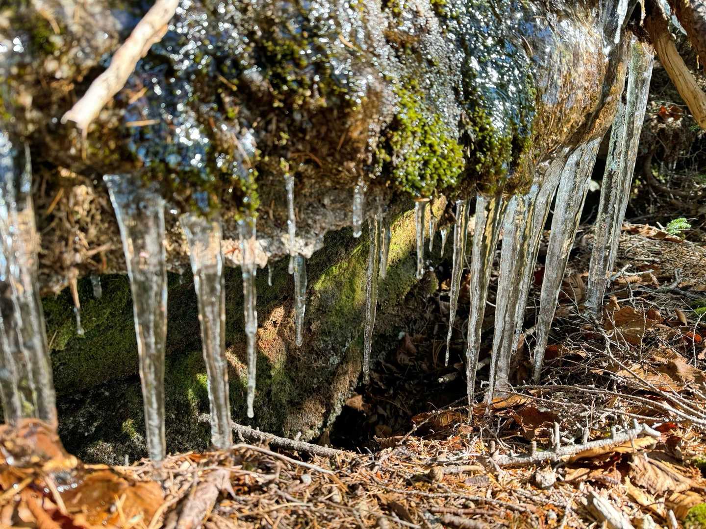 ❄️