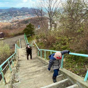 長ーい階段でも文句ひとつ言わずに自力で登り切るんです👏