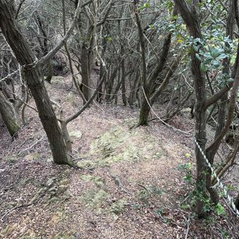 北尾根を下ります
