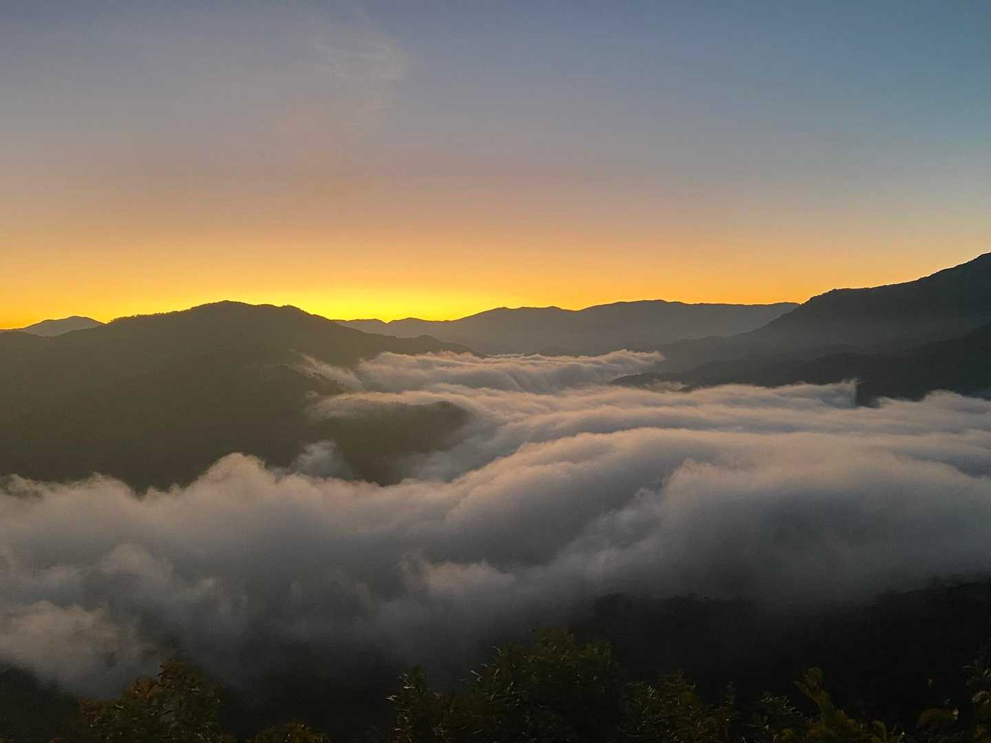 越後駒ヶ岳 往復 | 滝雲が湧く枝折峠から、花や眺望を楽しむ稜線歩きの写真