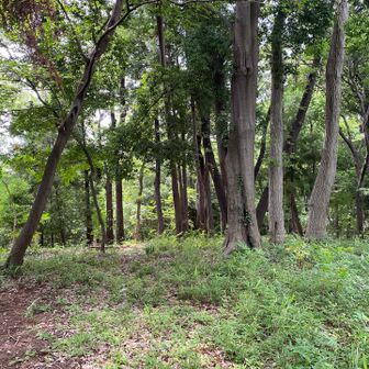 こんな山頂