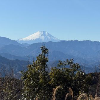ここからも富士山が良くみえます。