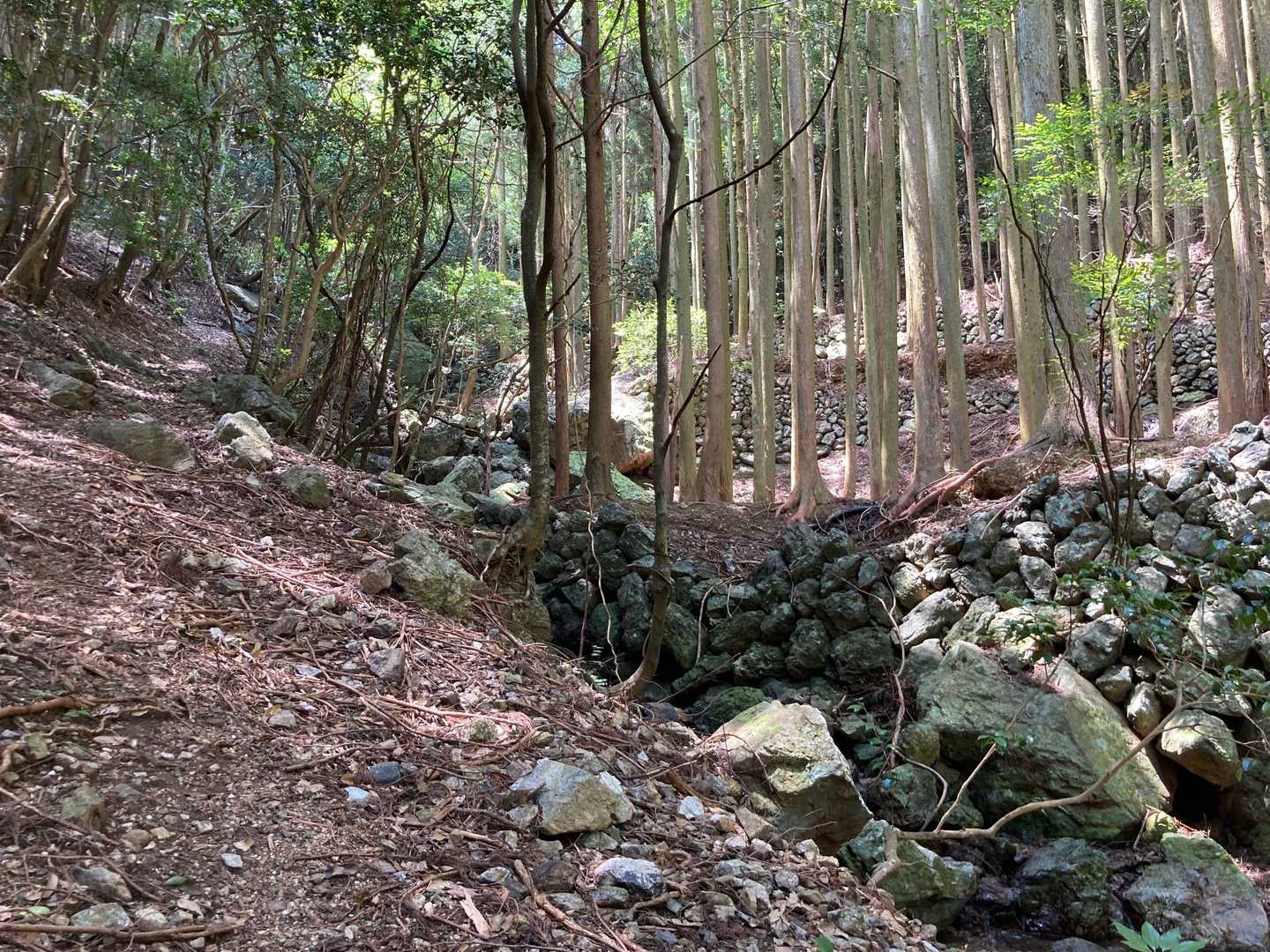 登ってゆく途中、立派な石組みがあり、かつては水田があったことが偲ばれるます