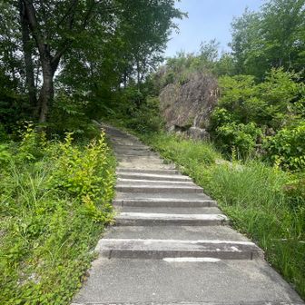 ボクはチャリんこのことを
白馬と呼んでいるのはご存知ではないですよね。１号も2号もいますよ