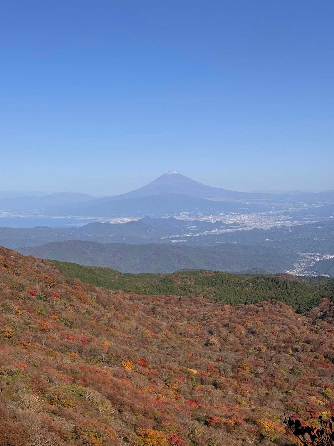 天城縦走登山口-万二郎岳-石楠立-万三郎岳 往復コースの写真