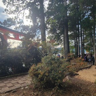 鳥居での写真撮影で長蛇の列が