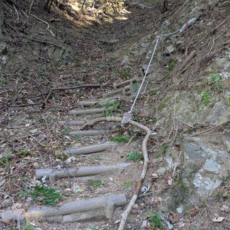 正直ここの階段を何とか整備してもらえたらと毎回思いながらの山行です。
転倒したら止まらないと思うし…