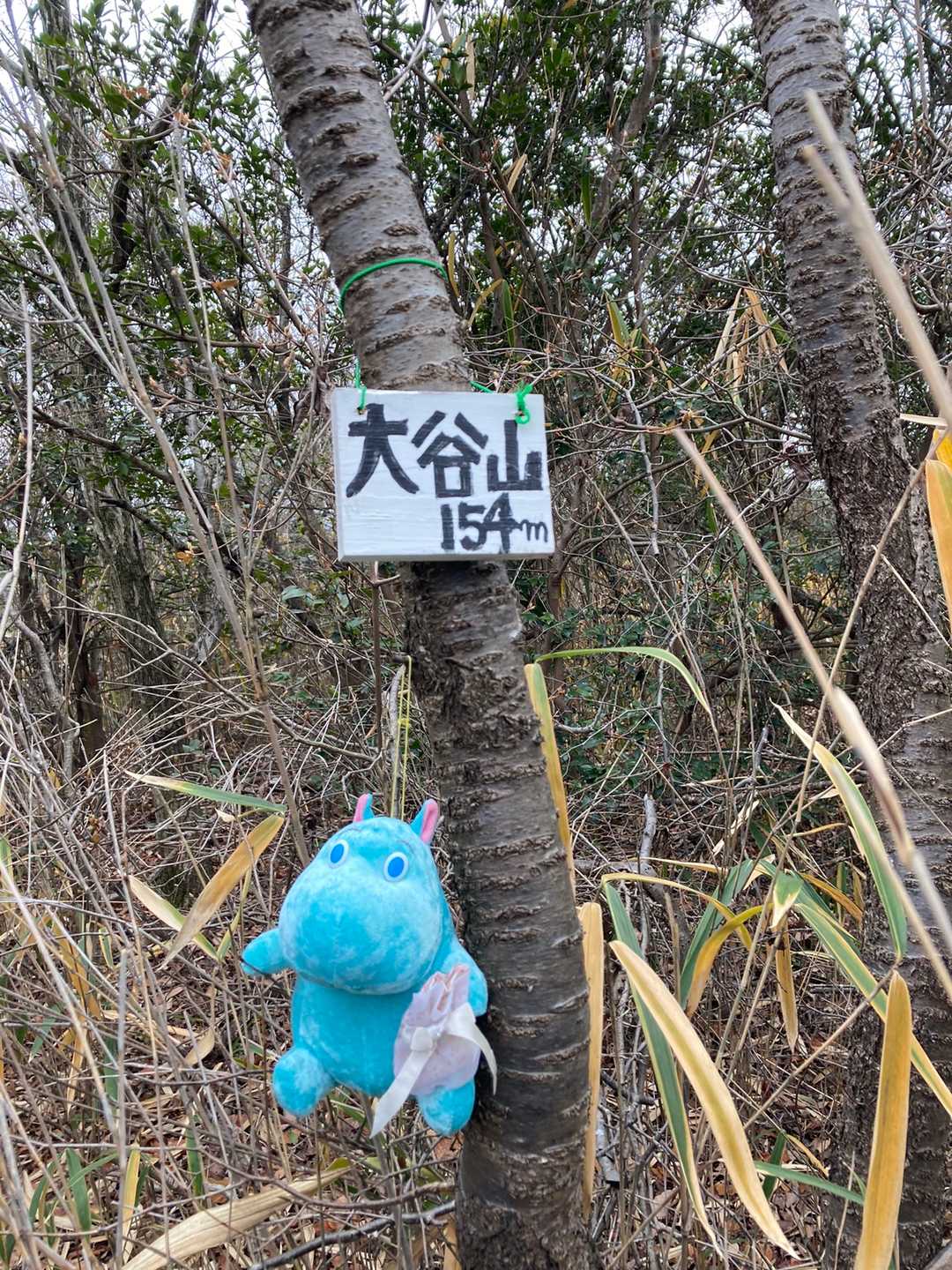 手書きの山頂標識がありました😋
山頂からは眺望なし
