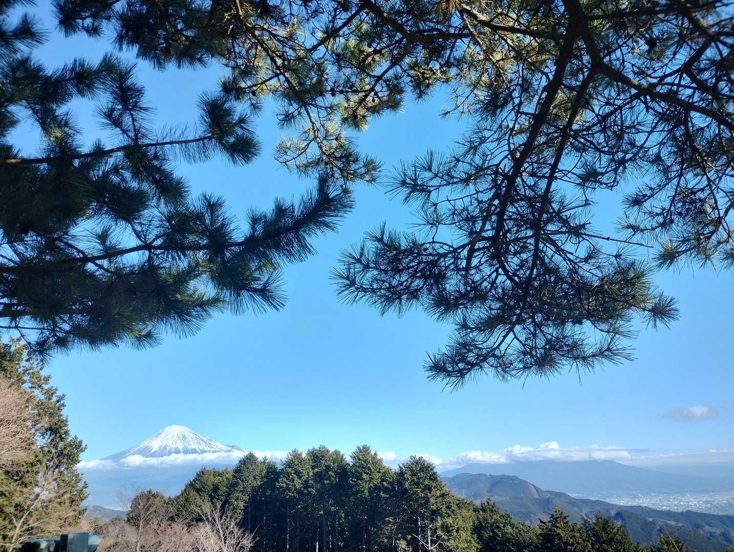 🗻も望む