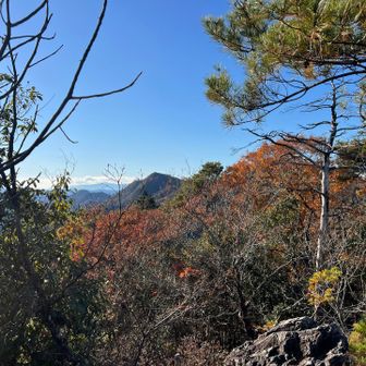 アレが、本城山かな？