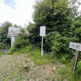 山頂です