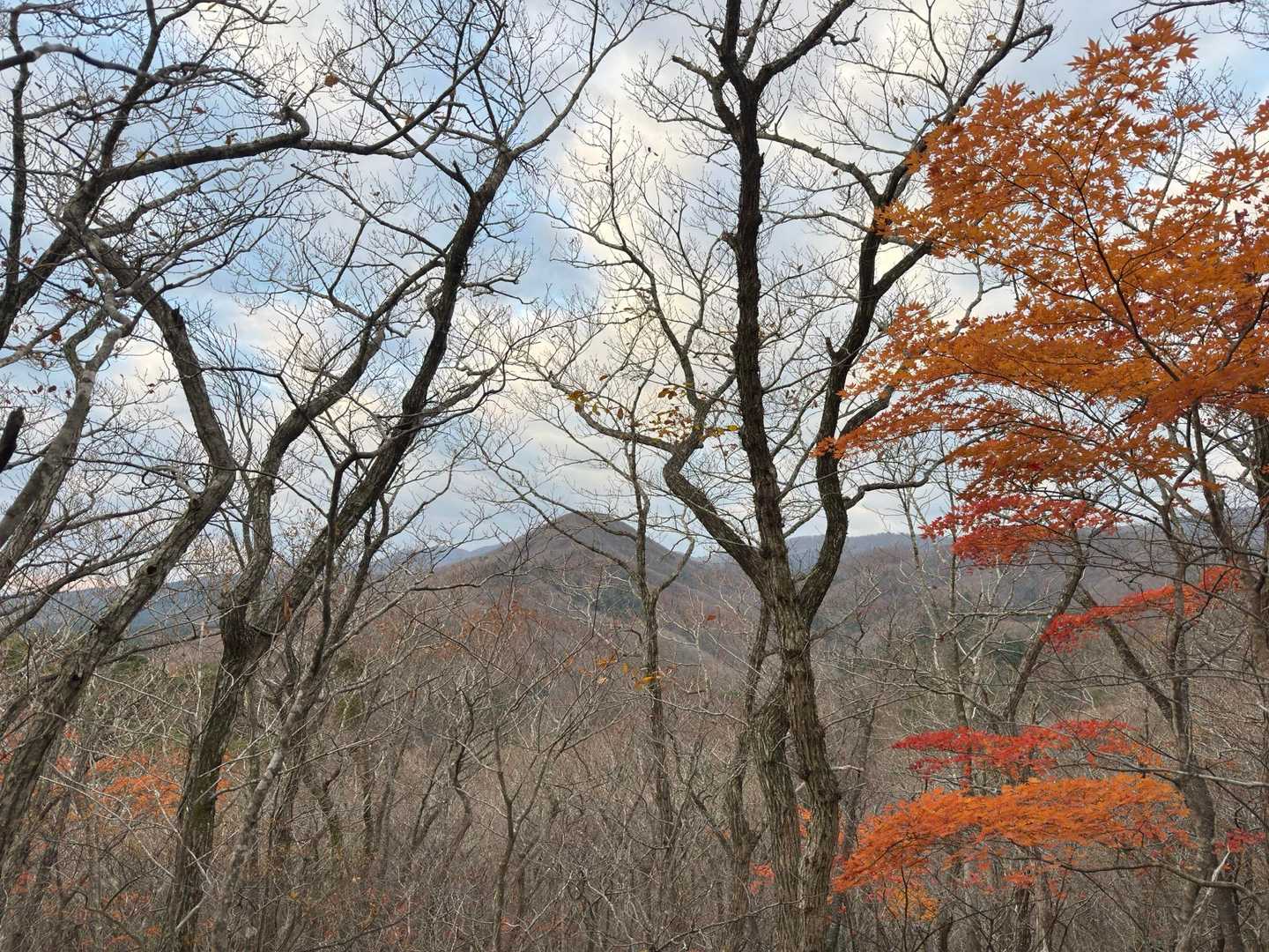 登山中でも景色見えるのは良い☺️