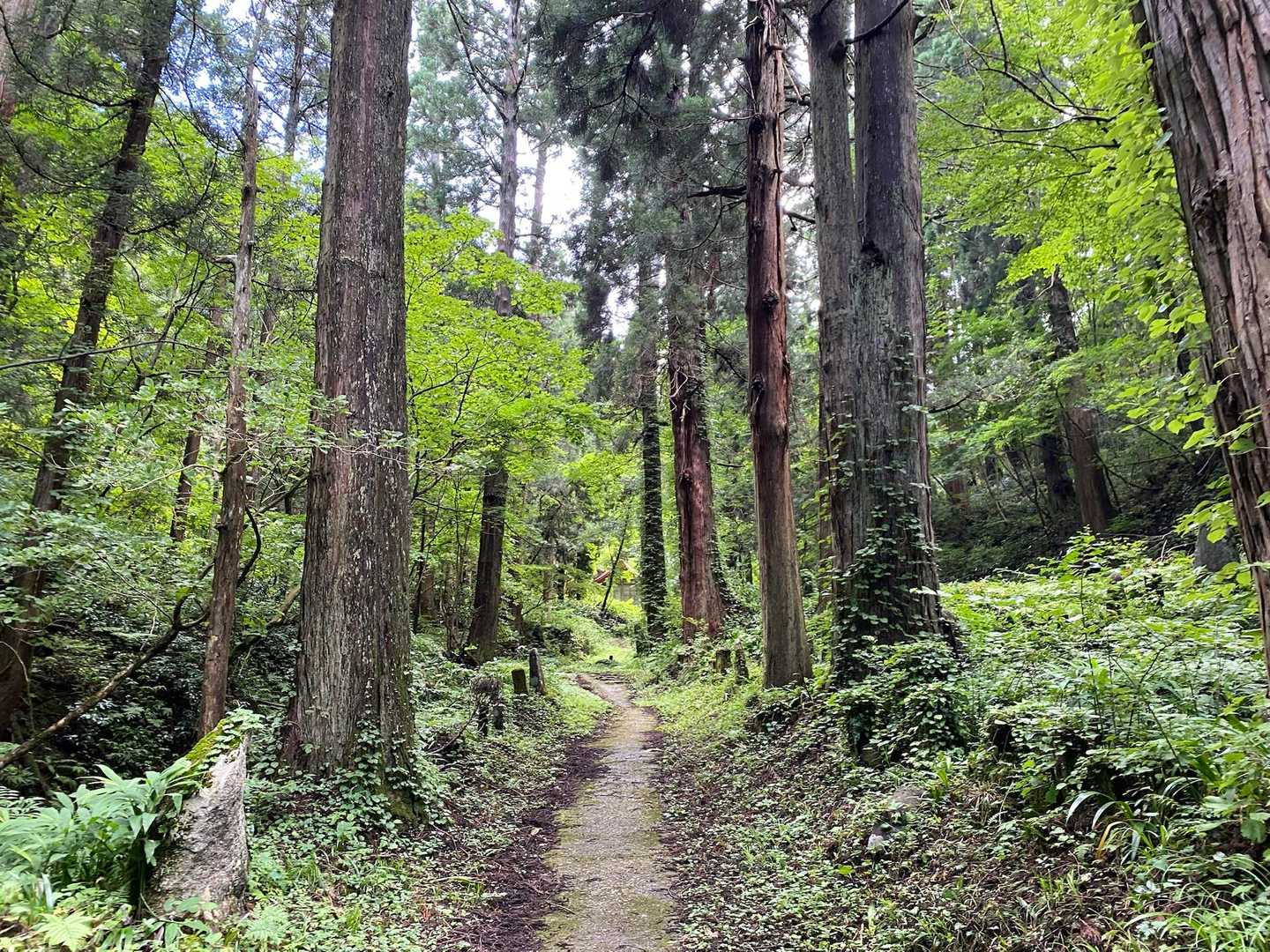 とてもいい道です
神社がたくさんある