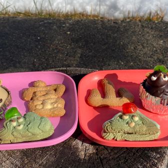 翁堂さんの大人のたぬきケーキとヤマガスキークッキー　　富山まで✨✨