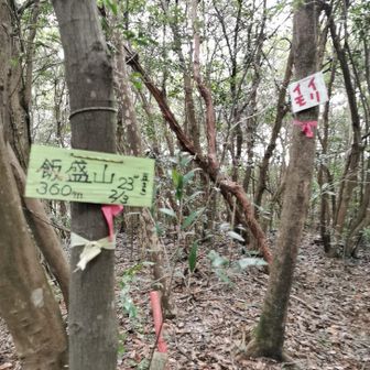 30分ぐらいで山頂
これと言って何もなし