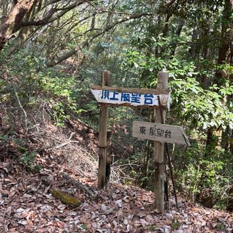 この道標の先が長尾山頂上です