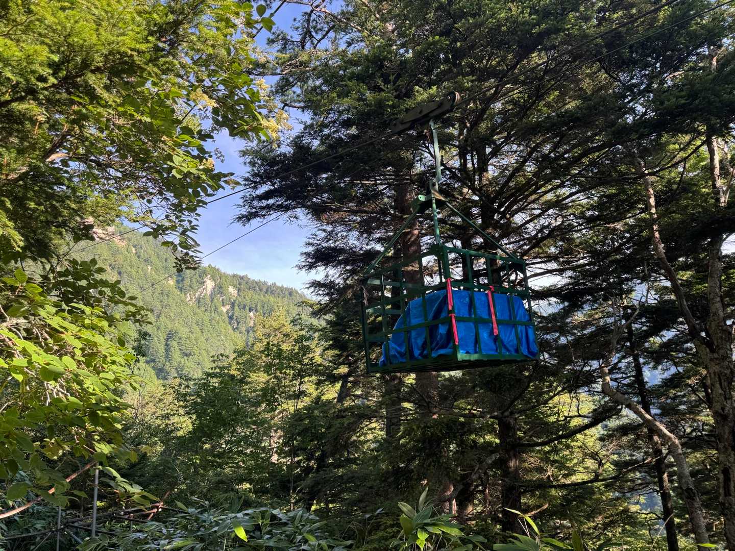 第二ベンチの手前でゴンドラ🚡
🍉運んでるのかな〜