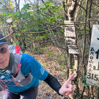 五月山？千代山？よく分かってません。