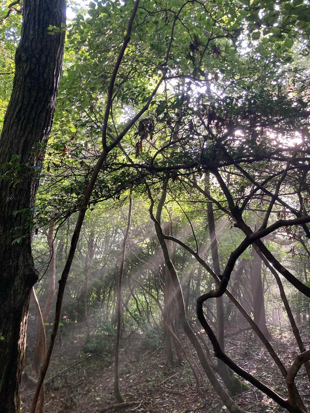 晴れてきた☀️