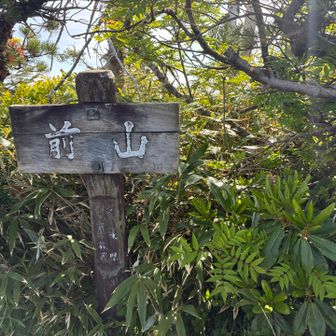 素通りしてしまいそうな前山