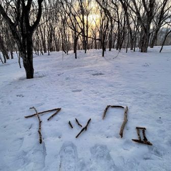 「ヤックII」は、標識の隣に移設させていただきました🙇‍♀️