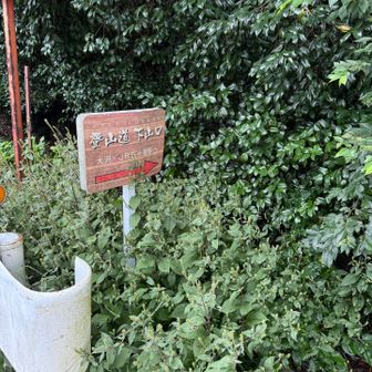 登山道発見
次は、ないと思うけど一応ね〜