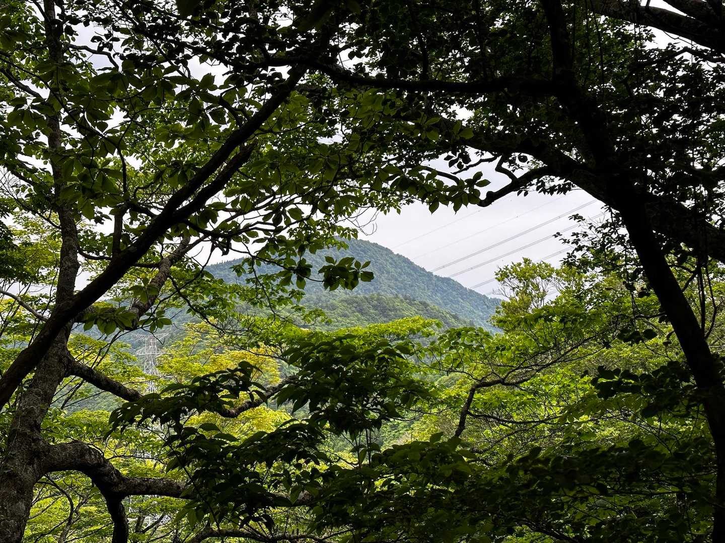 まさかあれが御正体山⛰❓
