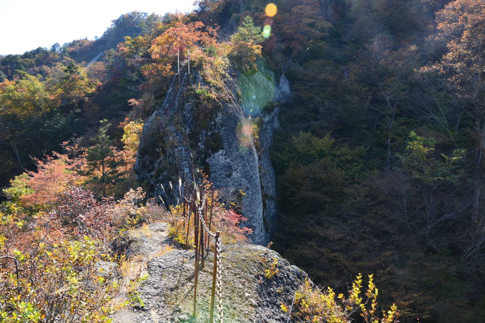 馬の背