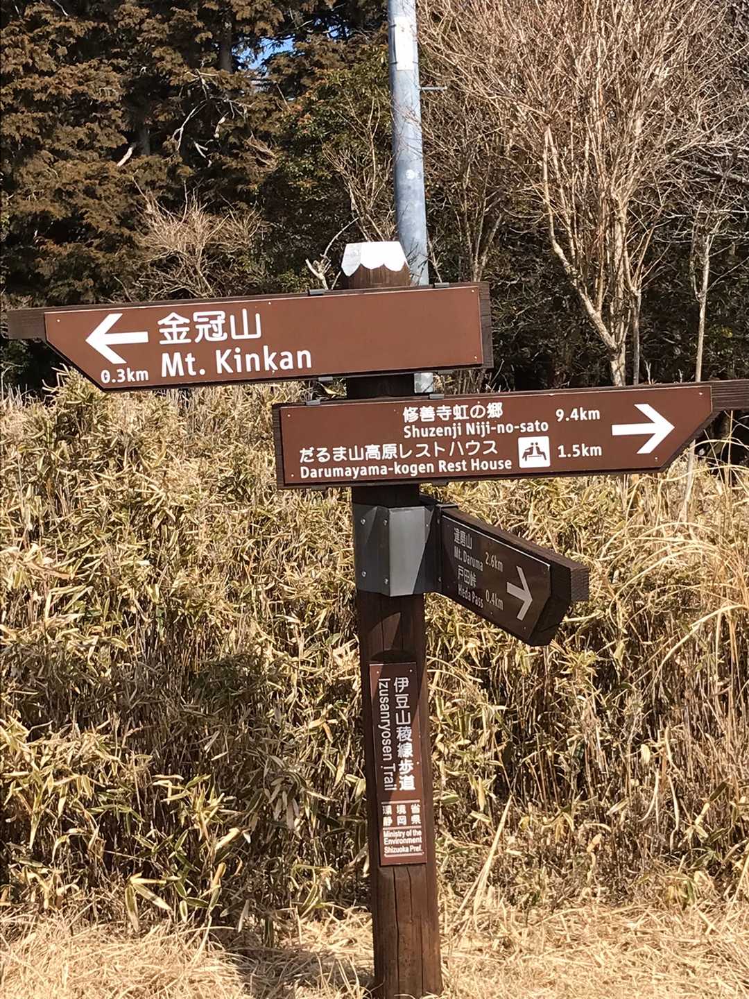 サクッと登れる金冠山😁