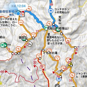 結局、ノリノリだったのは片腕だけ