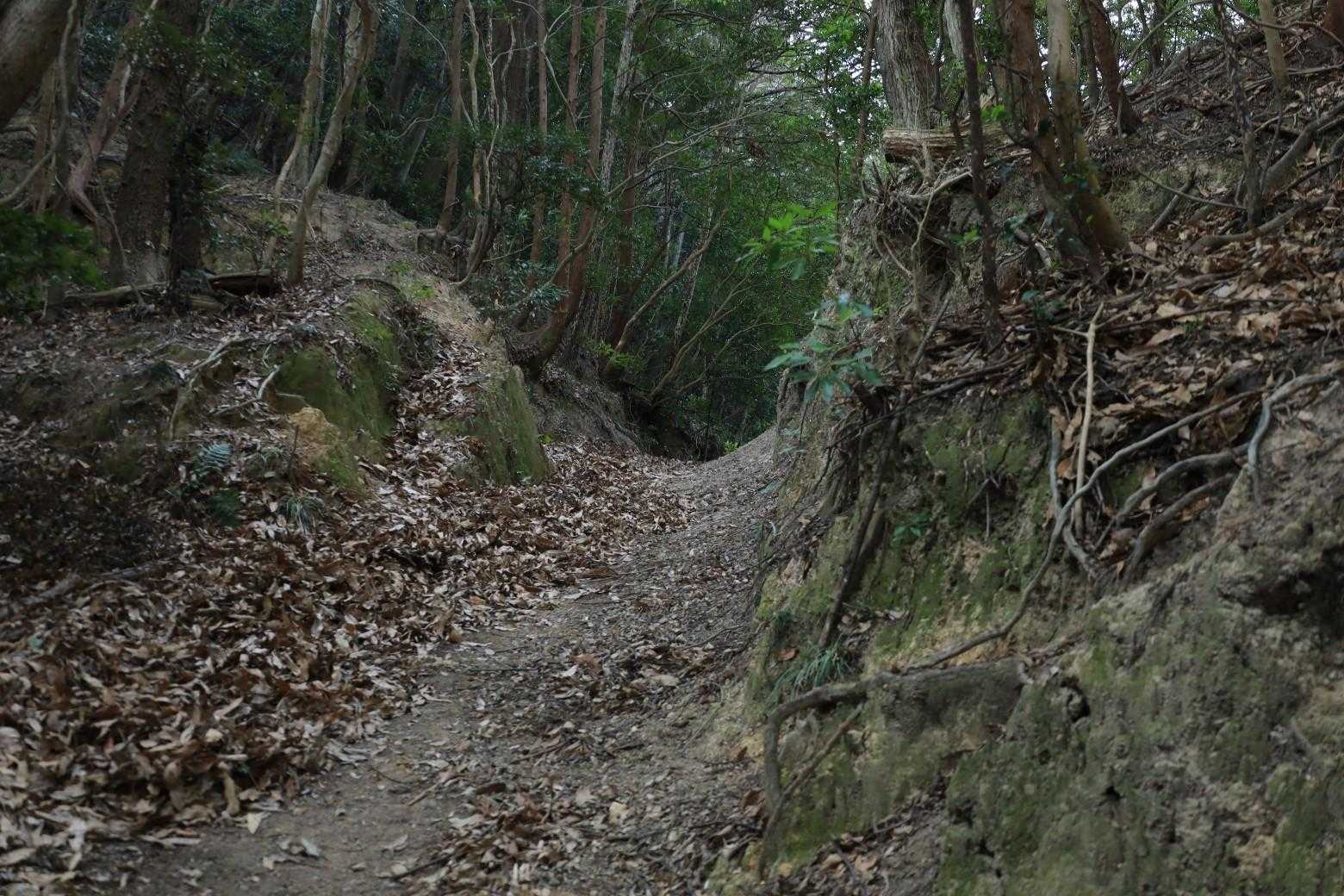 全く人にすれ違わねえ!