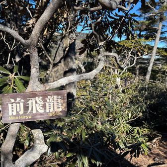 前飛龍の登り返し(；´Д`A ｷﾂｰ