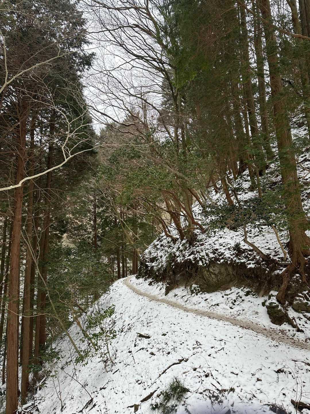 太陽と緑の道・石切道紅葉谷コースの写真