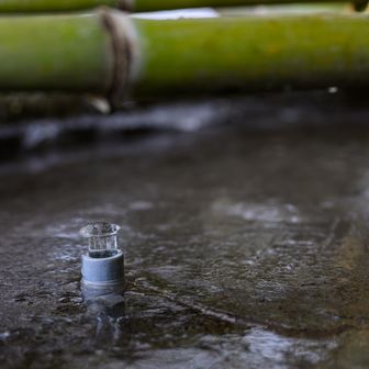 高住神社の手水舎は凍ってた。