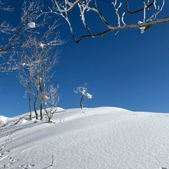 頂上手前
あとちょっと登れば素晴らしい景色