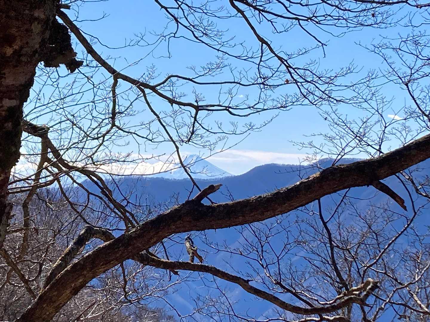 東日原バス停-横篶山-天目山 往復コースの写真