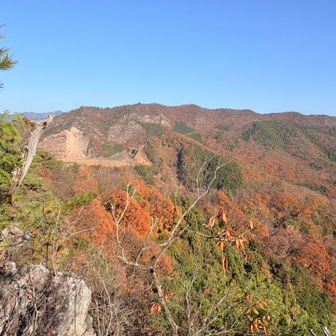 晩秋の日本の山って感じ