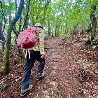 
　登山歴23年　T先輩の

　Northのザックがいい感じ