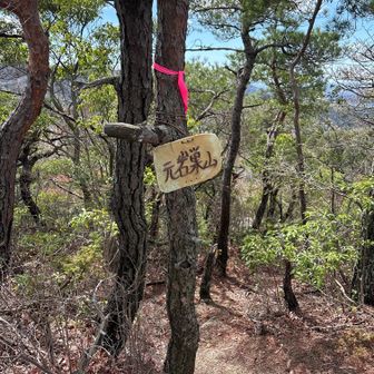 元岩巣山　山頂