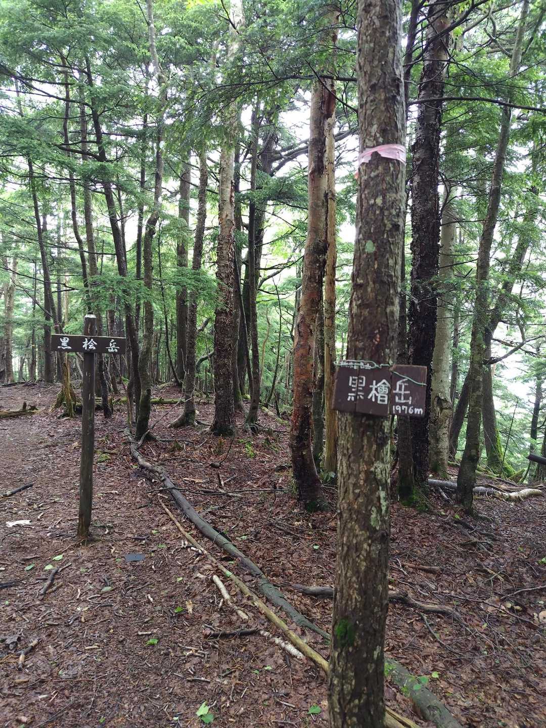 千手ヶ浜バス停-黒槍岳登山口-黒檜岳 往復コースの写真