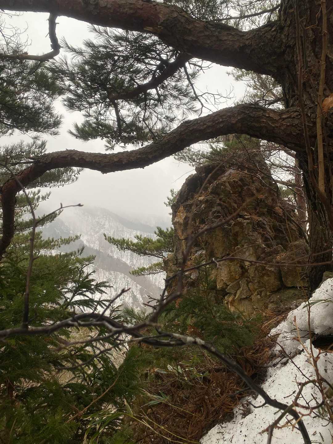このシンボリックな岩は
正規登山道から見えると思う。
今後探してみよう。