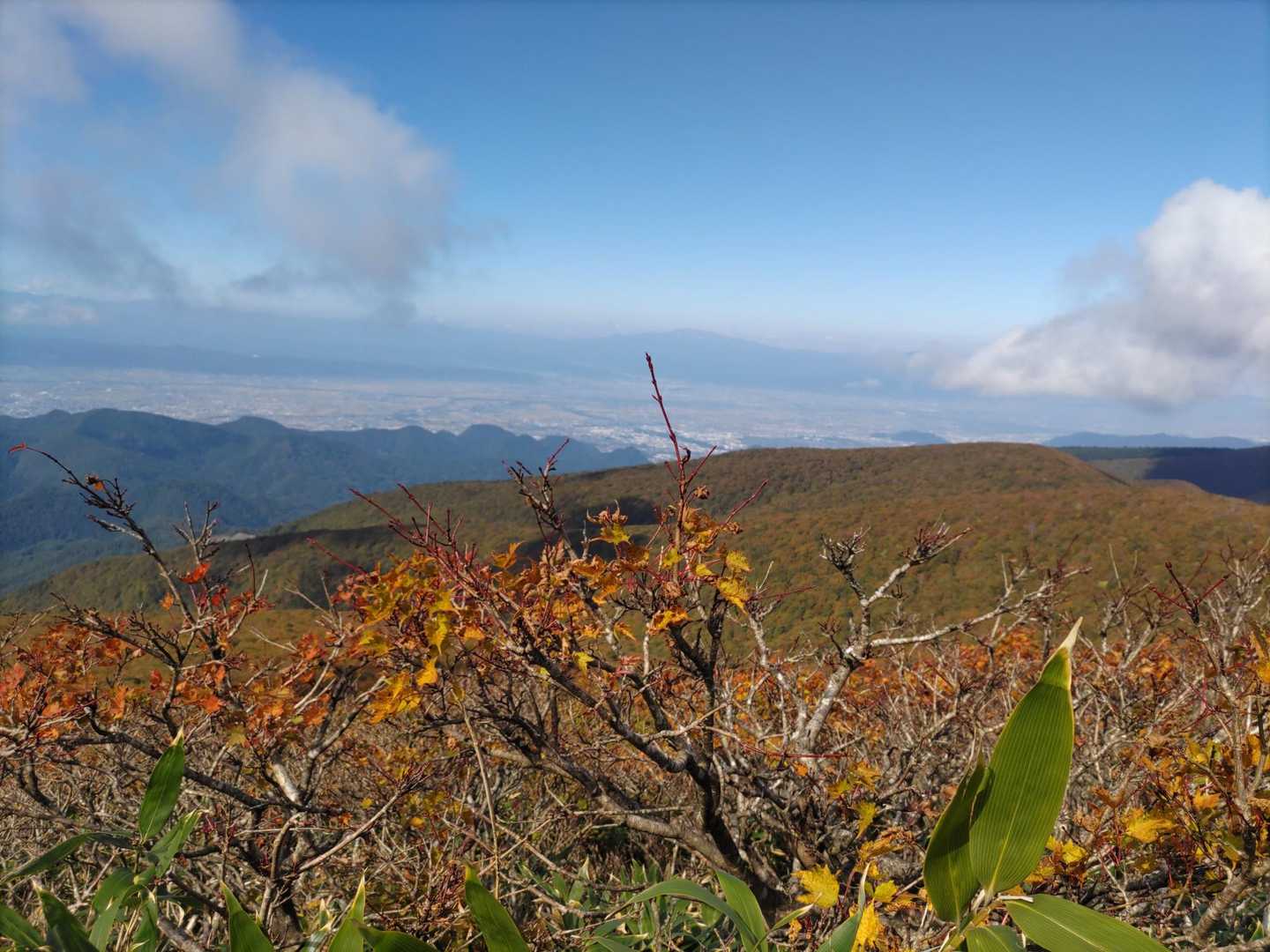 大関山-ハマグリ山-トンガリ山-山形神室岳 周回コースの写真