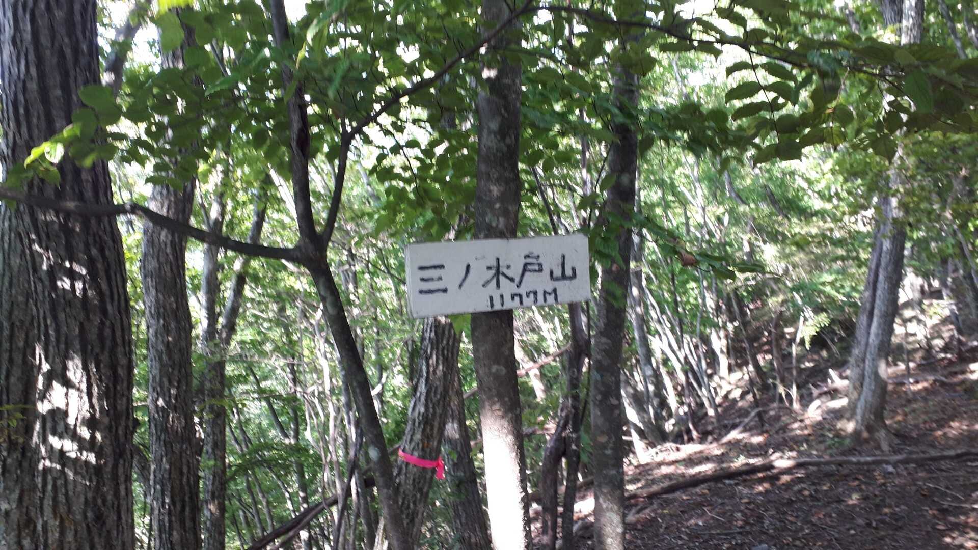 三ノ木戸山の写真