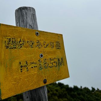 尾根歩きなかなか辿り着かず
『西はまだか〜』といいながら、やっとこさ山頂

天気と同じく、文字が霞んでる

西からの下山は、激下り

垂直に切れ落ちた岩の割れ目を跨ぐところがあり、そこが一番怖かった😱