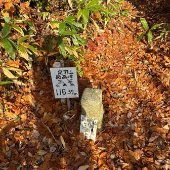 ピーク発見　場所は分かりにくい