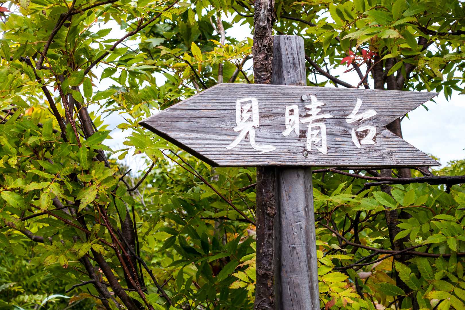 山頂の先には見晴台があるとの事
もちろん行くに決まってま〜す＼(^o^)／