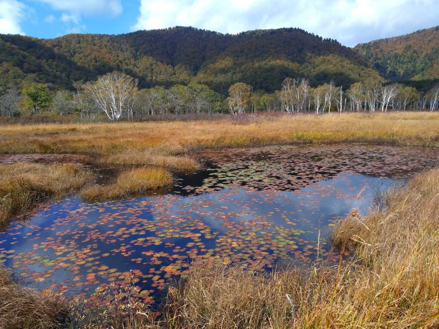 鳩待峠 周回コースの写真